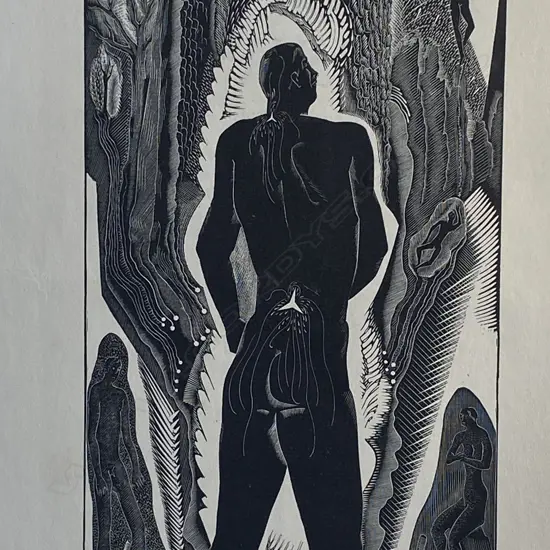 Blair Hughes-Stanton (1902-1981) - Illustration from D H Lawrence's 'Birds, beasts and flowers',